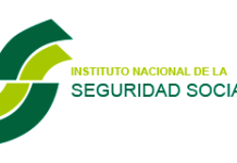 NOTIFICACIONES SAS | Notificaciones del INSS de incapacidad temporal o permanente.